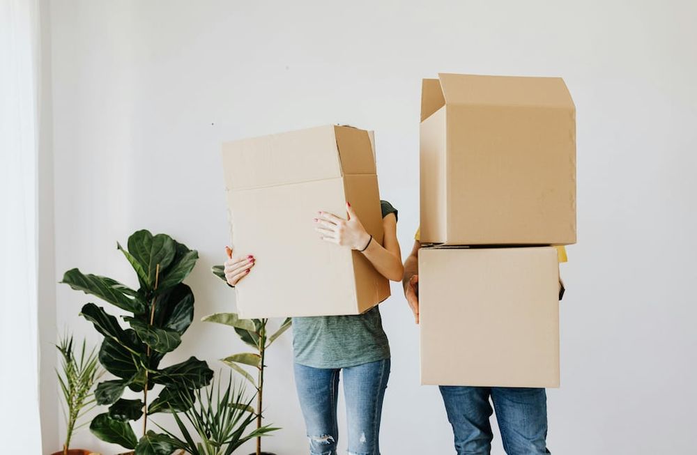 Cómo reciclar el cartón que ya no usas para decorar tu casa.