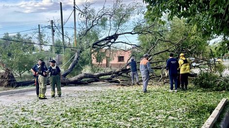 Los Andes | santa rosa 6 de enero