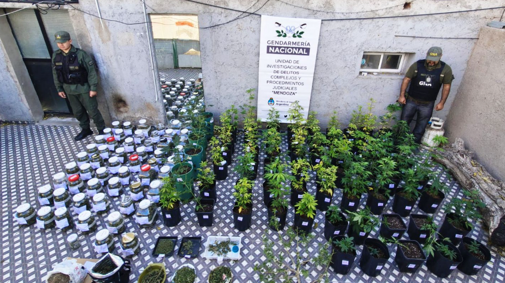 Operativo en Mendoza: secuestran cannabis, municiones y documentos extranjeros.