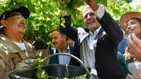 Massa habló de la posibilidad de importar uva para la producción vitivinícola - Gentileza