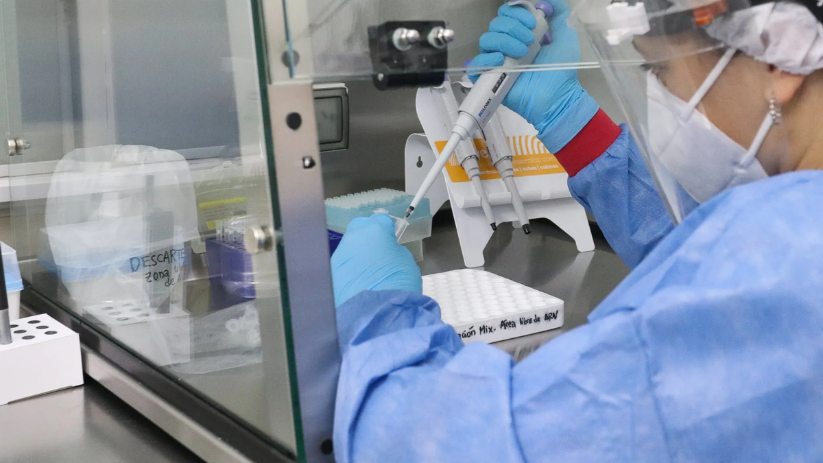 Anatomía patológica: cuando el sistema necesita escala