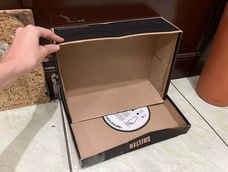 ni organizador ni maceta: dos formas de aprovechar la caja de zapatos vieja, un tesoro que tenes en casa