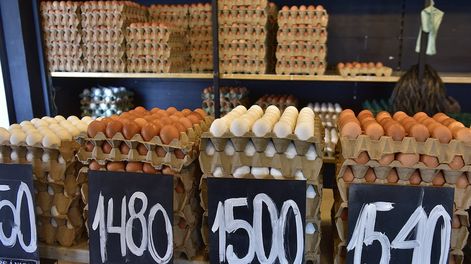 Los Andes | HO5PQ6O52REMTDOBTKANPOSPIU.JPG?quality=75&smart=true&auth=38605f30dd3dc96d60a0273546bef712e4fd4fa9800ae69a7db196ed1512200a&width=980&height=640