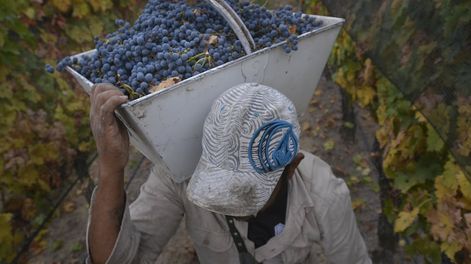 Los Andes | El cálculo fue hecho por el INV en función de la eliminación total del impuesto para algunas bodegas y la reducción para otras. / Foto: Archivo / Los Andes