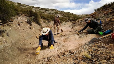 Los Andes | Las marcas que dejaron dinosaurios sobre lo que era una playa se preservaron perfectamente en el Sur de Malargüe. | Foto: gentileza