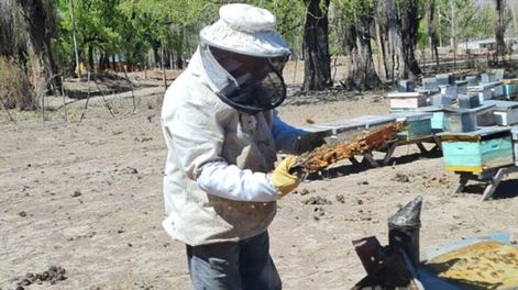 Los Andes | Productor apícola Walter Chechi