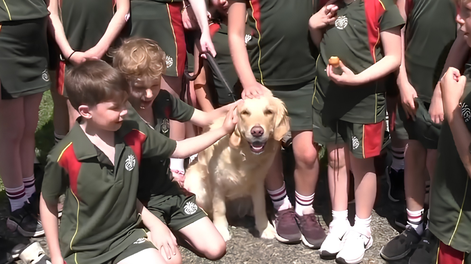 Los niños celebraron el cuarto cumpleaños de Willow, la perrita del colegio.&nbsp;