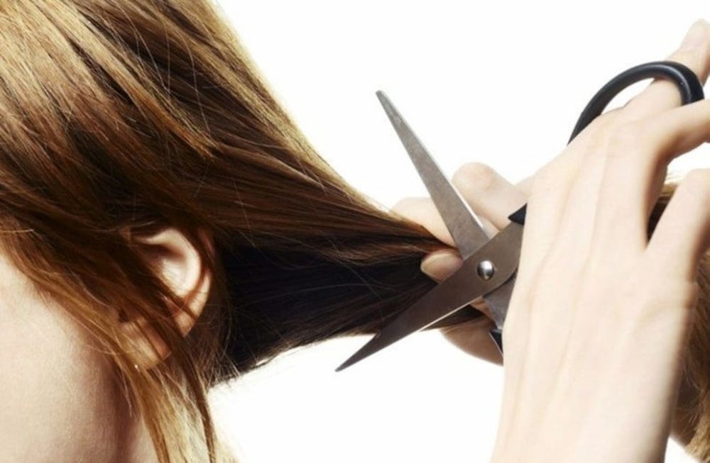 ¿Por qué hay que cortarse el pelo en Santa Rosa?
