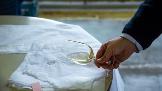 Cómo son los nuevos vinos de la UNCuyo y a quién le rinden homenaje