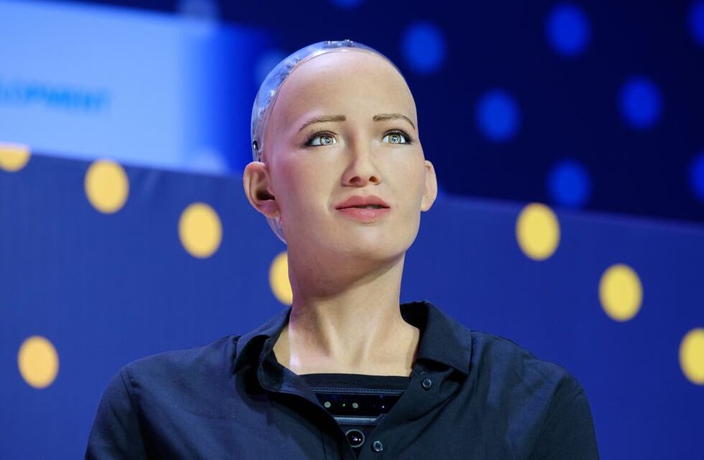 Los misterios de la vida han quedado atrapados en el circuito críptico del algoritmo: a diario las apps nos señalan aquello que más deseamos y a quién queremos conocer.