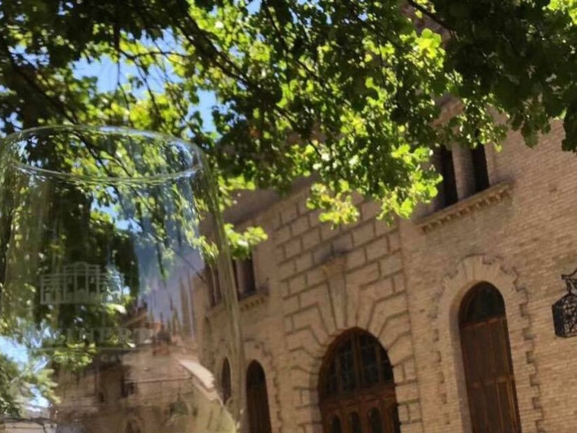 Bodega y Cavas Weinert: para recorrerla de manera online y offline