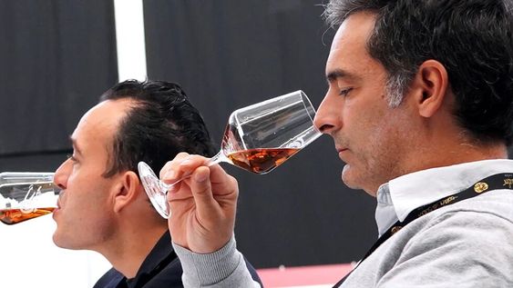 Los Premios Zarcillo celebrarán su 19ª edición en Burgos, España