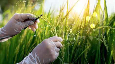 Los Andes | En el mundo ya se aplica la inteligencia artifical para optimizar resultados.