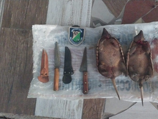 La Policía Rural detectó caza ilegal de fauna silvestre en San Carlos. &nbsp;