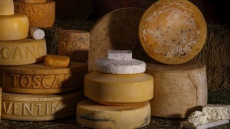 Diferentes productos de la quesería de Cipolletti, Río Negro. Foto: Quesería Ventimiglia / Instagram