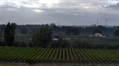 Foto: Orlando Pelichotti / Los Andes