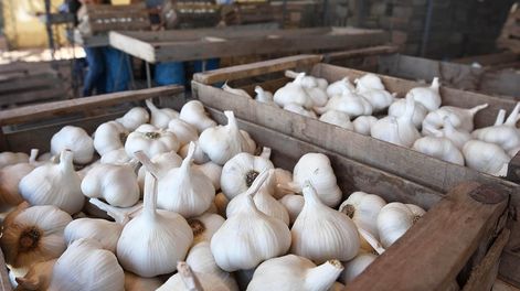 Los productos mendocinos, exceptuados del nuevo esquema de retenciones