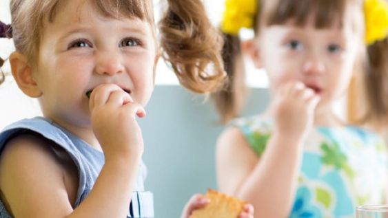 Alimentación en la primera infancia: los expertos advierten que la microbiota intestinal interviene en el crecimiento y el metabolismo infantil