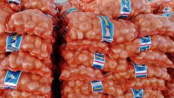 Comerciantes señalaron que los precios de las verduras y frutas están muy bajos, enumerando entre otros productos papa, cebolla, zapallo coreano y alimentos de hoja verde. (Imagen ilustrativa).