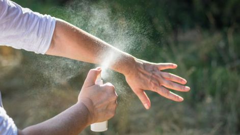 Los Andes | aceite para repeler insectos