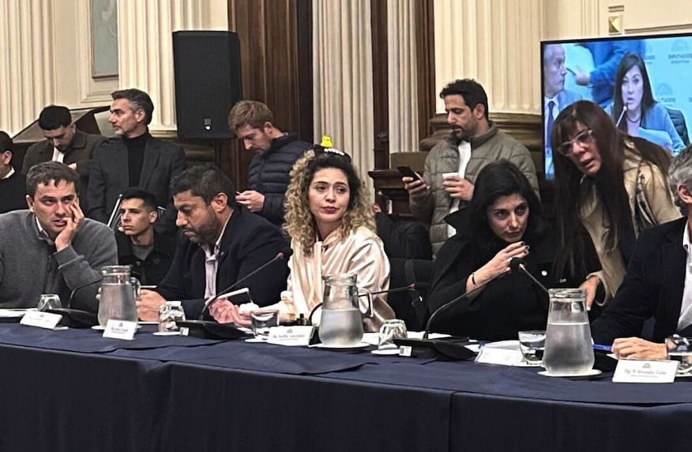 Lourdes Arrieta fue una de las diputadas que visitó a genocidas en la cárcel de Ezeiza. Foto de archivo (Gentileza Ámbito)