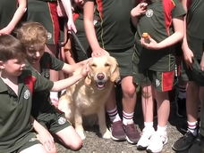 Los niños celebraron el cuarto cumpleaños de Willow, la perrita del colegio.&nbsp;
