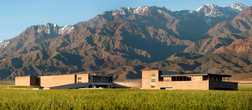 Bodega DiamAndes