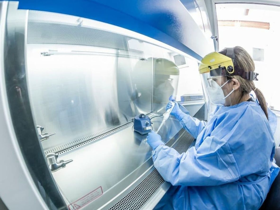 Coronavirus Argentina: confirmaron 7.671 nuevos casos y 242 muertes en la últimas 24 horas