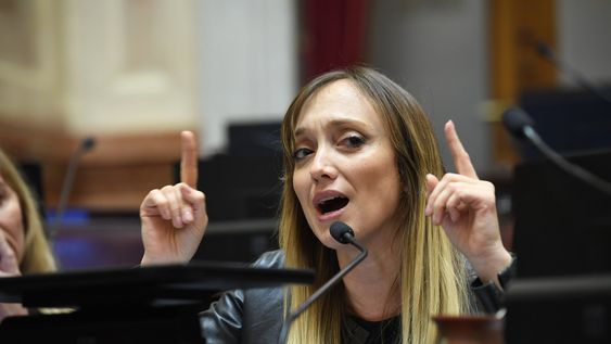 La legisladora de Unión por la Patria afirmó que no existen fundamentos científicos para eliminar la normativa y defendió su impacto en los hábitos de consumo.