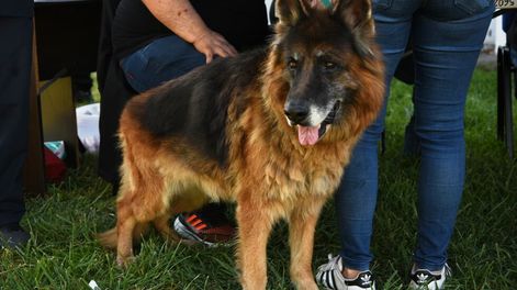 Los Andes | M3BO2VNISVCNPMCCGKKQ6MVERI.JPG?quality=75&smart=true&auth=918f0d58e6314617cb4136c5b4a228b11787c7714014e4b7bddfeccda3026cd4&width=980&height=640