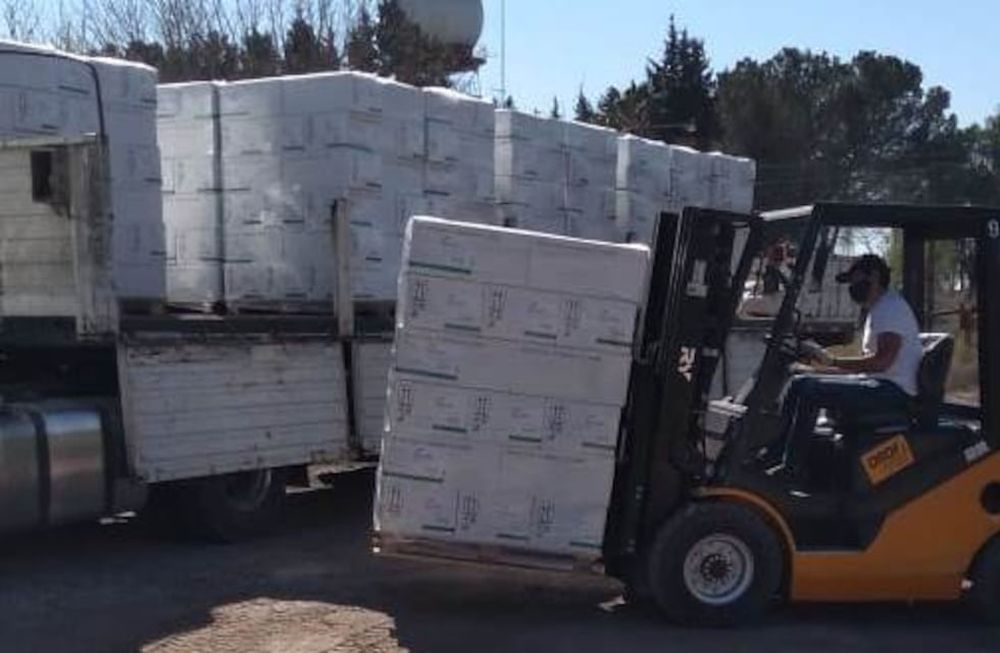 La próxima semana se inicia la primera etapa del operativo de control de Polilla de la Vid de la nueva temporada