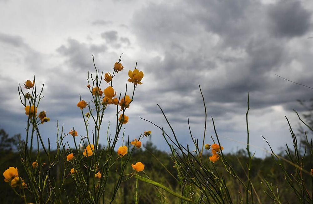 De acuerdo con la Dirección de Contingencias Climáticas, el día contará además con vientos moderados del noreste. / Foto: José Gutierrez / Los Andes
