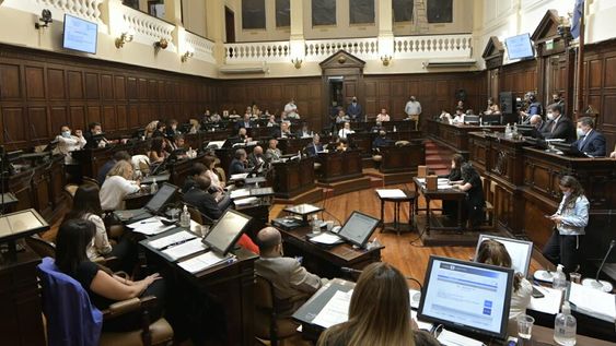 El Senado aprobó el proyecto de Boleta Única, ahora la Cámara de Diputados deberá convertirlo en ley. Foto: Orlando Pelichotti / Los Andes