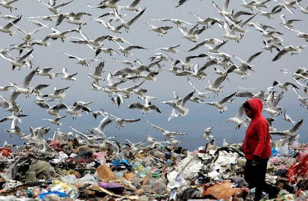 Unos 200 millones de latinoamericanos en riesgo de ser pobres