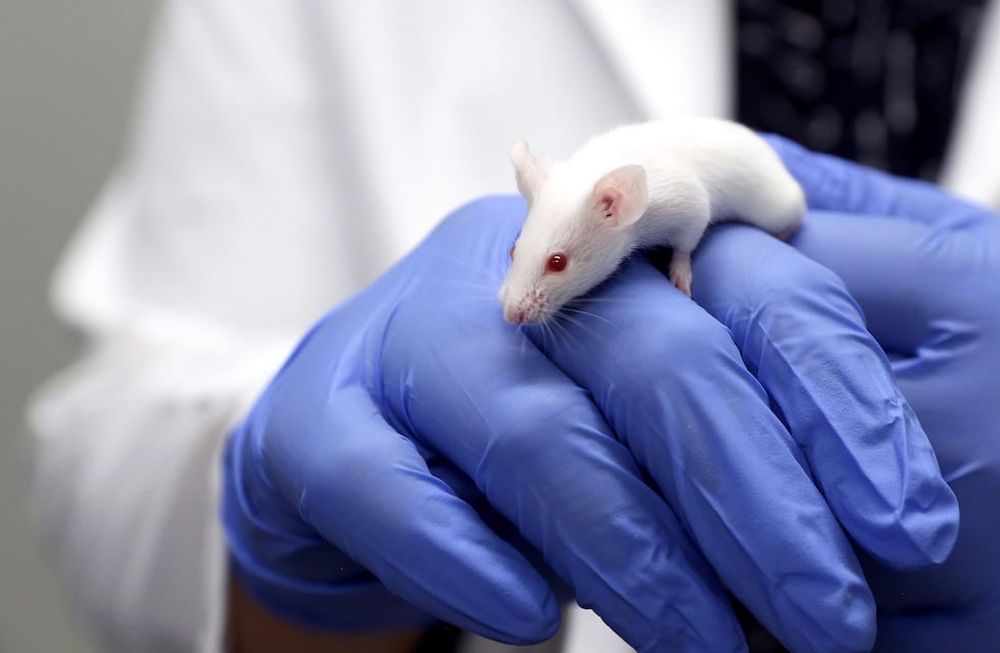 El estudio publicado en la revista Science destaca las posibles aplicaciones en la práctica clínica, como la mejora en la extracción de sangre y la detección precoz del cáncer.