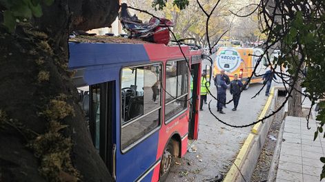 Una postal de hace semanas: colectivo del grupo 700 dañado por impacto con una rama en Ciudad