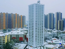 Así es el impresionante edificio que China puede montar en solo 5 días. Así es el impresionante edificio que China puede montar en solo 5 días.