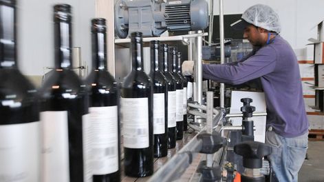 En septiembre eliminan las retenciones a las exportaciones de vino.