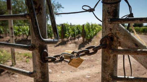 Los Andes | Los productores mendocinos están preocupados por el incremento de la violencia en los casos de inseguridad rural. - Foto: Ignacio Blanco / Los Andes