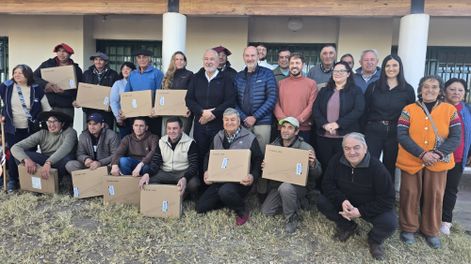 Internet satelital para el campo: cómo los productores ganaderos pueden recibir antenas