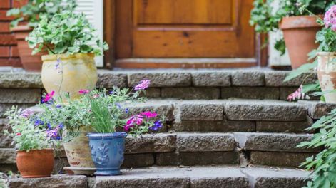 Preparar la entrada de casa para frenar las energías negativas es una buena oportunidad para decorarla con plantas.