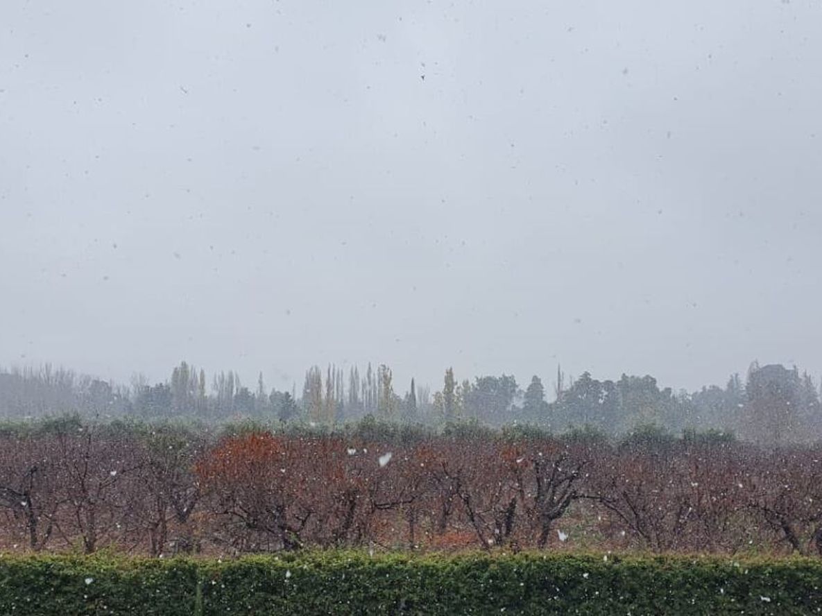 Anticipan un domingo frío y con alerta por nevadas en Mendoza 