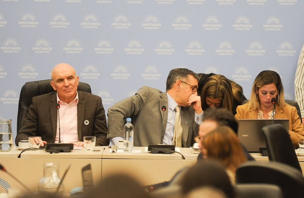 Los diputados José Luis Espert y Alejandro Finocchiaro, presidentes de las comisiones de Presupuesto y de Educación (Foto: Federico López Claro)