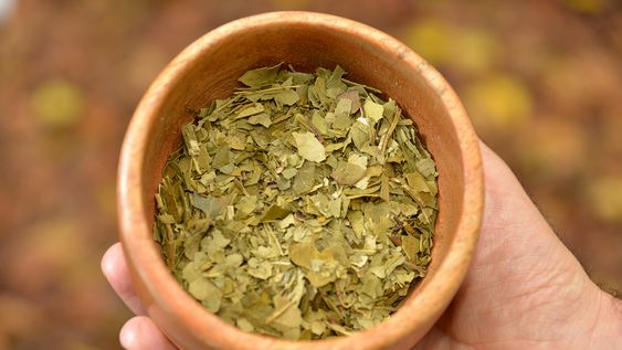 Economías regionales: la yerba mate es una de las actividades complicadas.