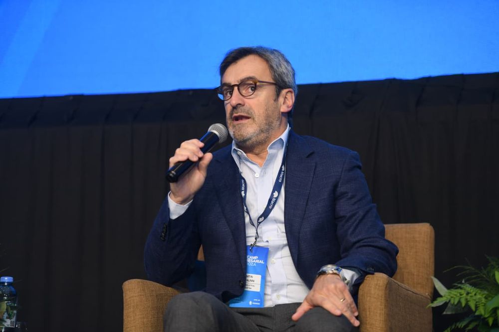 El titular de la Unión Industrial Argentina, Martín Rappallini.