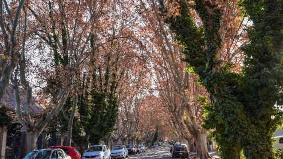 La solicitud firmada por cientos de frentistas está en manos del Consejo Asesor de Patrimonio, que deberá dictaminar. Foto: