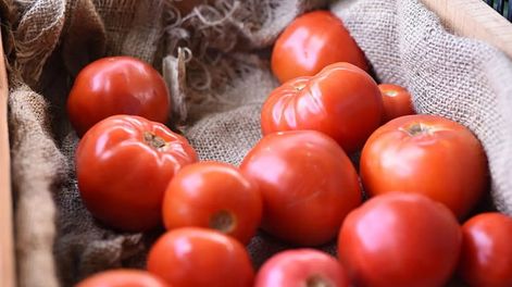 Volvió a subir el precio del tomate y de ciertas hortalizas. Por qué sucedió. Foto: Los Andes