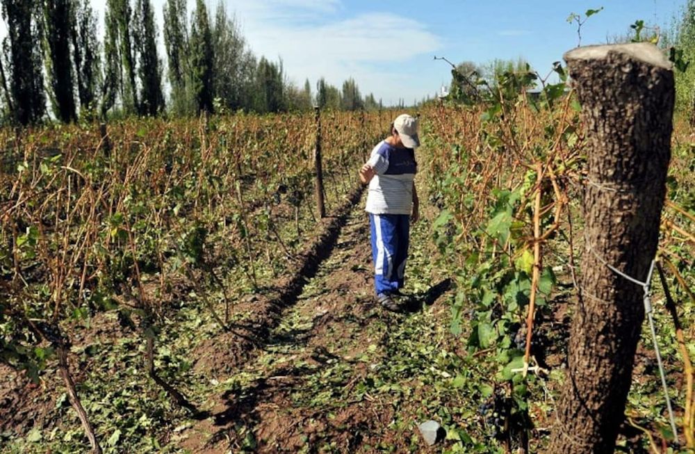 Prensa Gobierno de Mendoza.