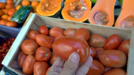 Los Andes | El tomate perita y el redondo están entre los productos que más subas han tenido en los últimos 15 días. Foto: Orlando Pelichotti / Los Andes