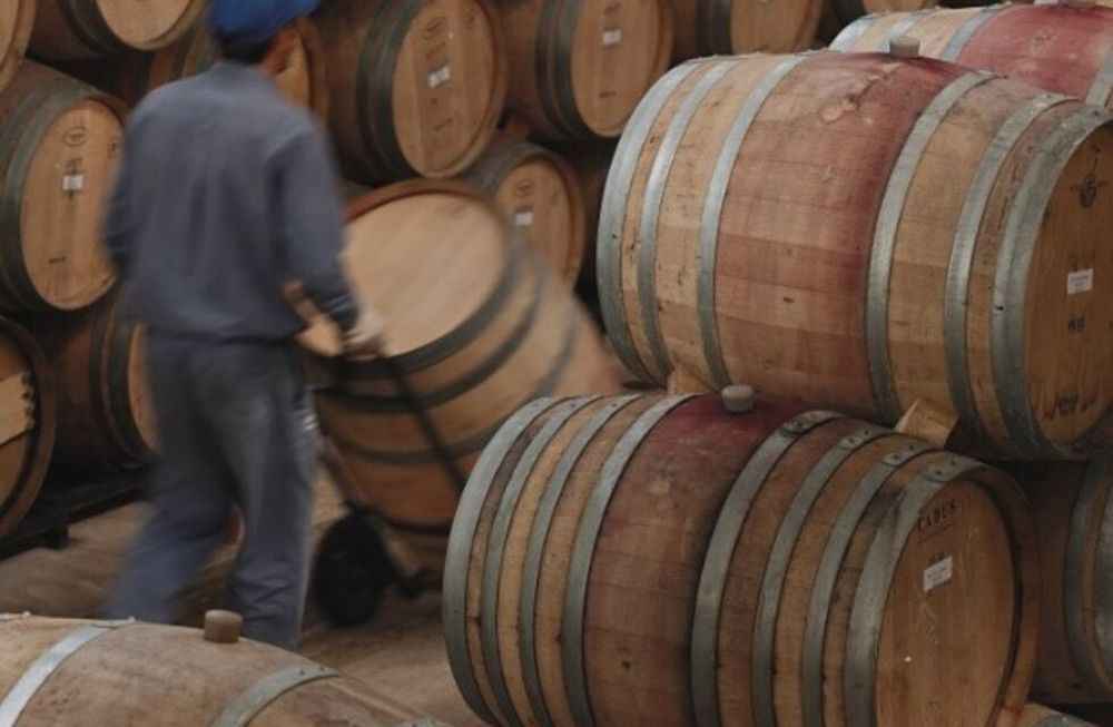 La bodega Los Helechos también está presente en la Feria de Guarda14